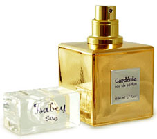 Gardenia  Isabey -    