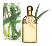 Aqua Allegoria Herba Fresca  Guerlain -    