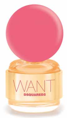 Want Pink Ginger  Dsquared2 -   -   