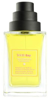 South Bay   The Different Company -    