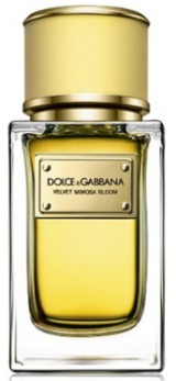 Dolce & Gabbana Velvet Mimosa Bloom  Dolce & Gabbana -    