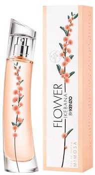 Flower Ikebana Mimosa  Kenzo -    